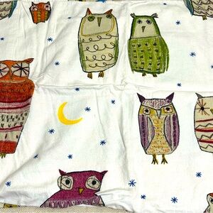 The Company Store Cotton Flannel Night Owl Twin Bedding